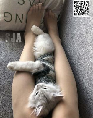 美女操逼动态图片_西瓜视频在线观看